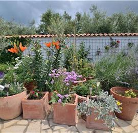 3 bedroom villa with pool near Poreč, sleeps 6